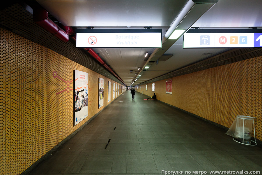 Станция Botanique / Kruidtuin [Ботани́к / Кра́утаун] (линия 2 / 6, Брюссель). В подземном переходе.