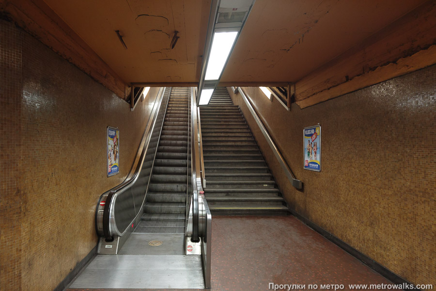 Станция Parc / Park [Парк] (линия 5, Брюссель). Выход в город, эскалаторы начинаются прямо с уровня платформы.