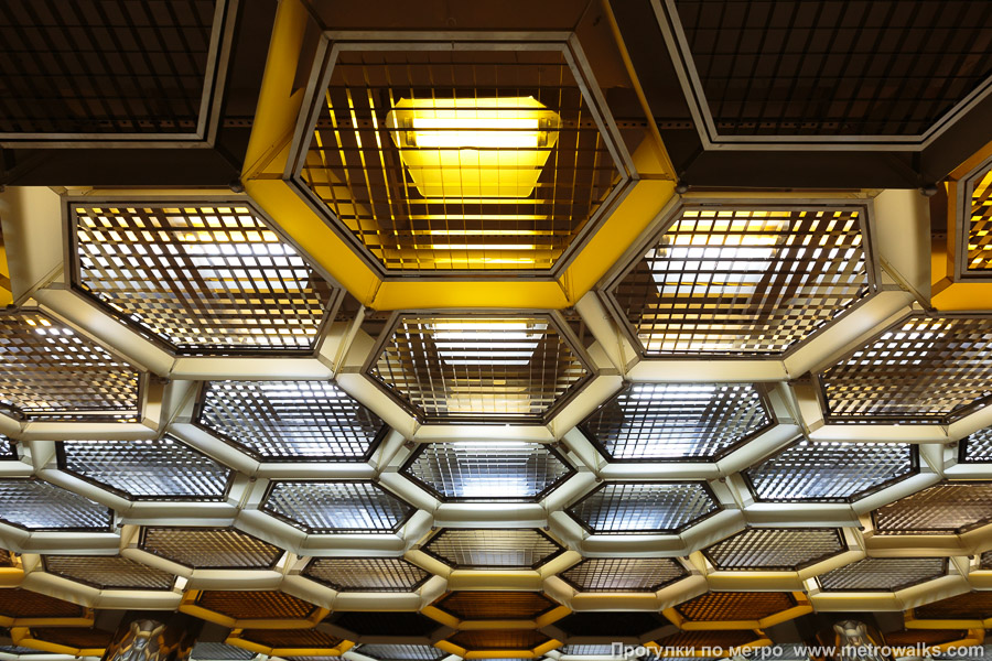 Станция Ботаническая (Екатеринбург). Декоративная отделка потолка. Соты — пчёлы — ботаника.