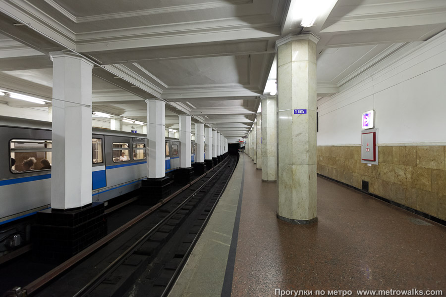 Станция Александровский сад (Филёвская линия, Москва). Продольный вид вдоль края платформы. 1-й путь (вогнутая платформа).