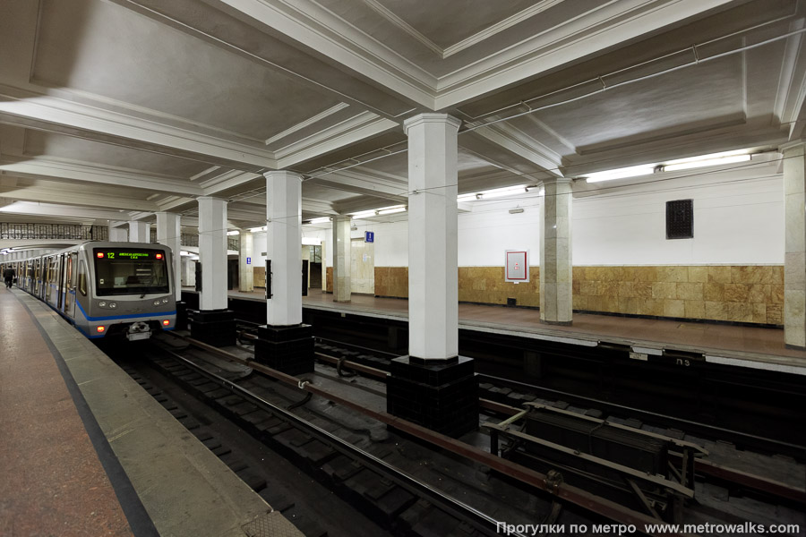 Станция Александровский сад (Филёвская линия, Москва). Вид по диагонали.