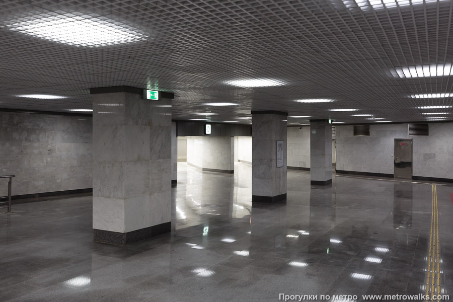 Станция Новомосковская (Сокольническая линия, Москва). Переход, общий вид. Пол в переходе неровен: с уклонами, ступеньками, пандусами, резкими поворотами и колоннами поперёк прохода.