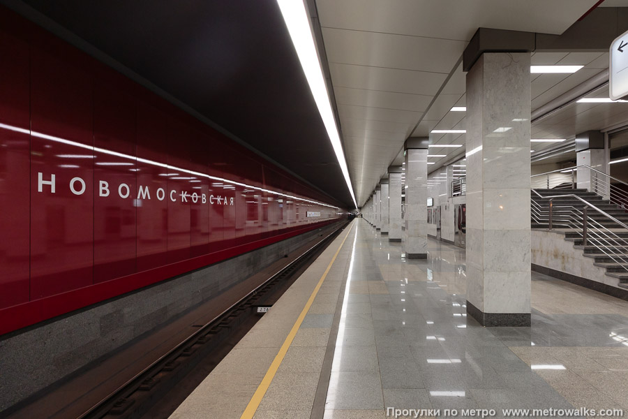 Станция Новомосковская (Сокольническая линия, Москва). Боковой зал станции и посадочная платформа, общий вид.
