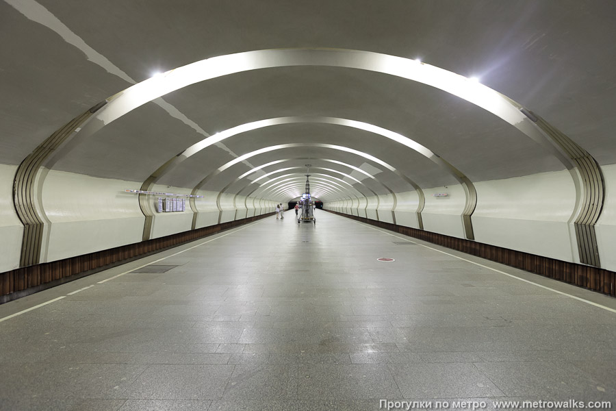 Станция Коньково (Калужско-Рижская линия, Москва). Продольный вид по оси станции.