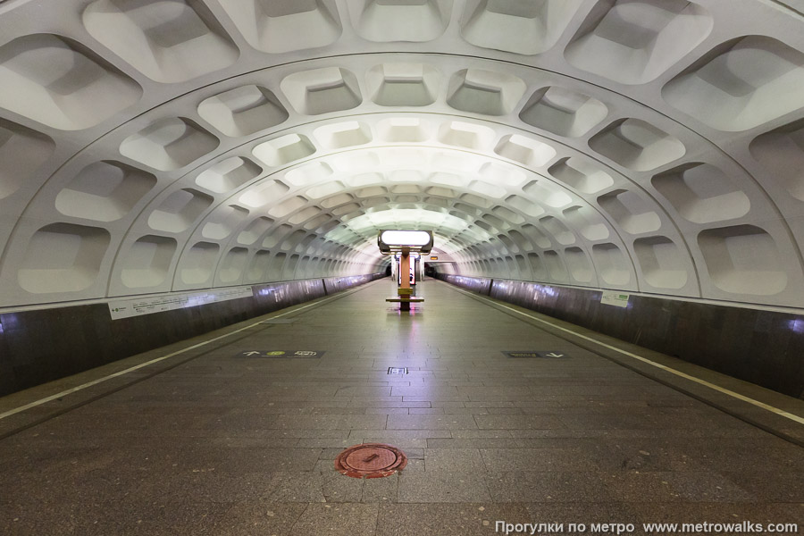 Станция Красногвардейская (Замоскворецкая линия, Москва). Продольный вид по оси станции.