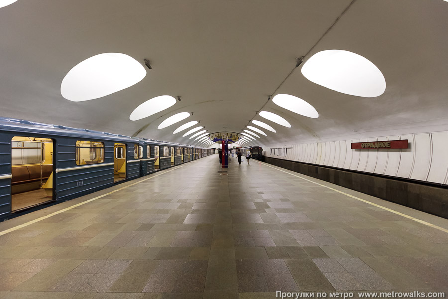Станция Отрадное (Серпуховско-Тимирязевская линия, Москва). Продольный вид по оси станции.