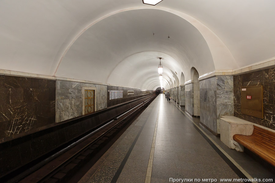 Станция Парк культуры (Кольцевая линия, Москва). Боковой зал станции и посадочная платформа, общий вид.