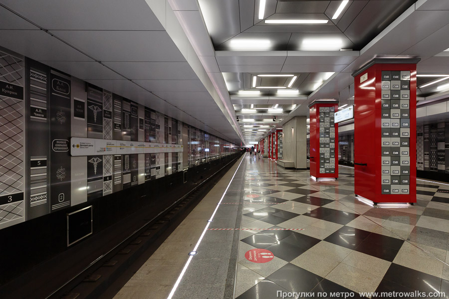 Станция Рассказовка (Солнцевская линия, Москва). Продольный вид вдоль края платформы.