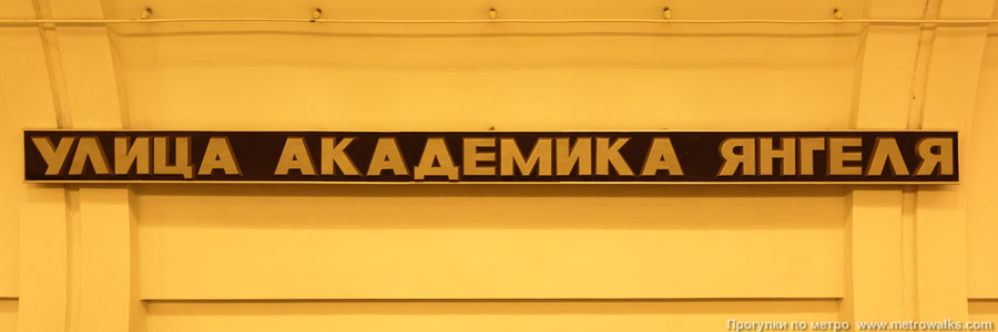 Станция Улица Академика Янгеля (Серпуховско-Тимирязевская линия, Москва). Название станции на путевой стене крупным планом.