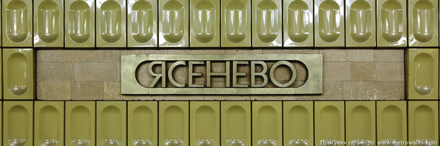 Станция Ясенево (Калужско-Рижская линия, Москва). Название станции на путевой стене крупным планом.