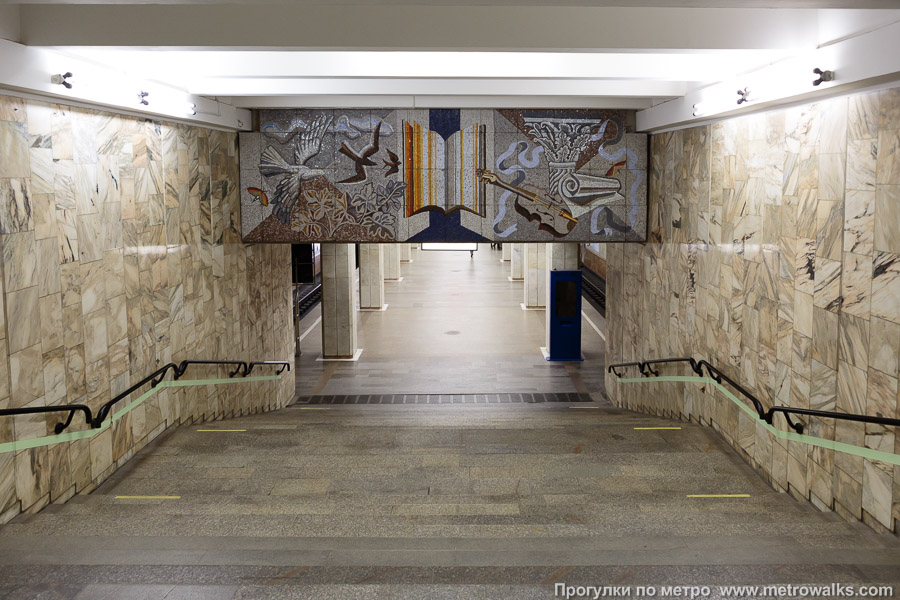 Станция Студенческая (Ленинская линия, Новосибирск). Спуск на станцию по лестнице.