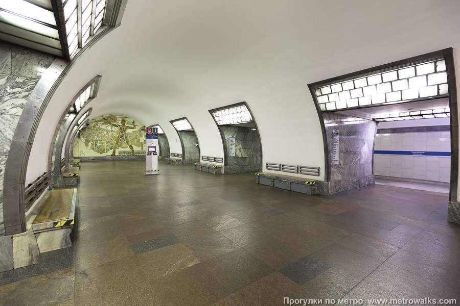 Станция Электросила (Московско-Петроградская линия, Санкт-Петербург). Вид по диагонали.