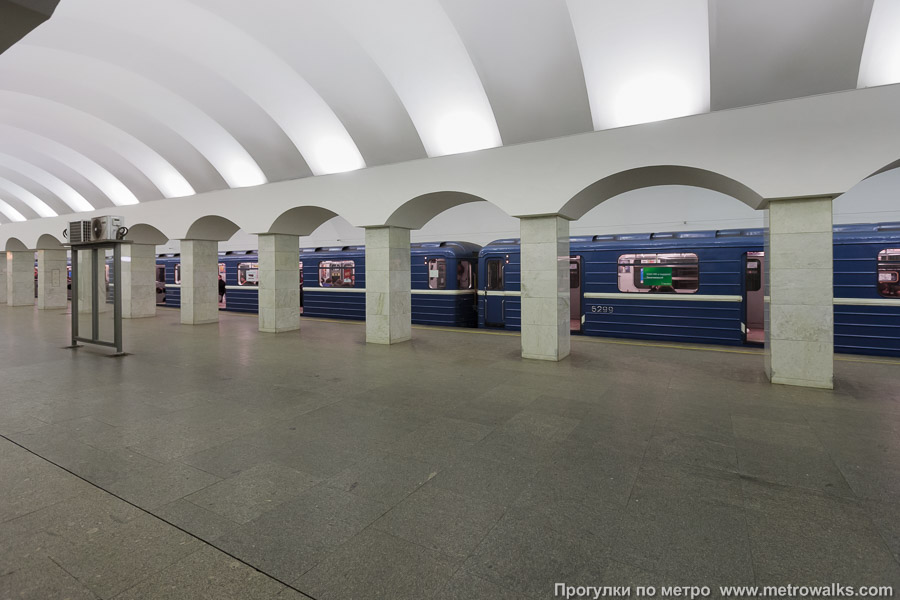 Станция Лесная (Кировско-Выборгская линия, Санкт-Петербург). Вид по диагонали. С поездом.