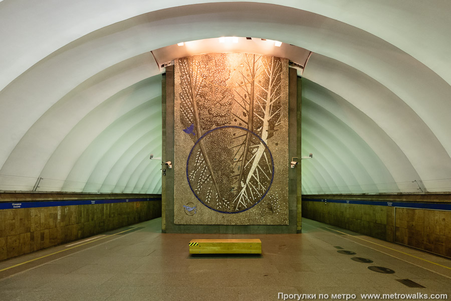 Станция Озерки (Московско-Петроградская линия, Санкт-Петербург). Противоположная от входа часть станции.