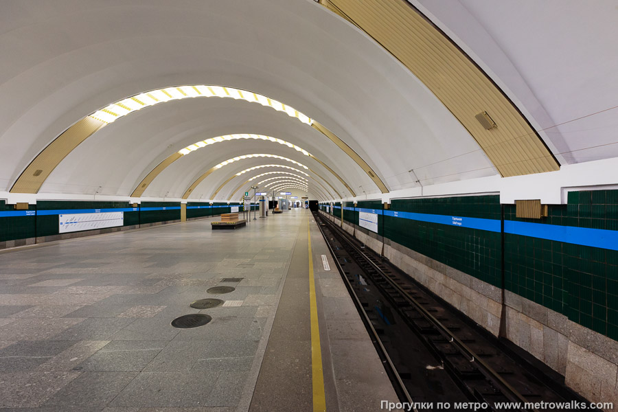 Станция Удельная (Московско-Петроградская линия, Санкт-Петербург). Край платформы, общий вид.