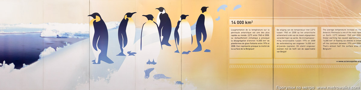 Фотография станции Belgica [Бе́лхика] (линия 2 / 6, Брюссель). Декоративное оформление путевой стены крупным планом. Пингвины — коренные жители Антарктиды, куда совершил экспедицию корабль Belgica.