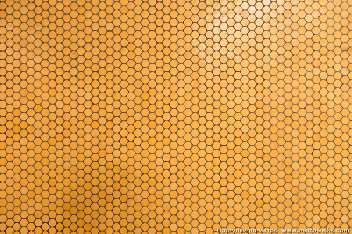 Фотография станции Botanique / Kruidtuin [Ботани́к / Кра́утаун] (линия 2 / 6, Брюссель). Декоративное оформление станционной стены крупным планом. Стена облицована очень мелкой жёлто-оранжевой плиткой круглой формы.