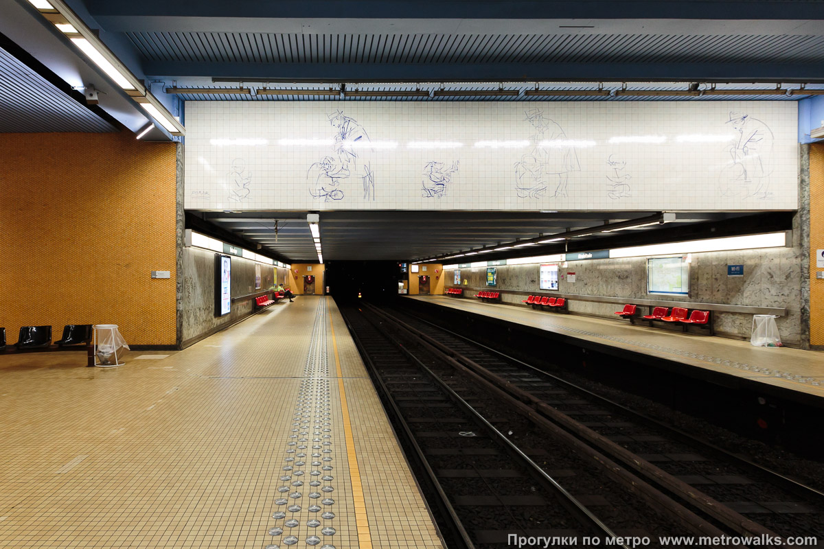Фотография станции Botanique / Kruidtuin [Ботани́к / Кра́утаун] (линия 2 / 6, Брюссель). Противоположная от входа часть станции.