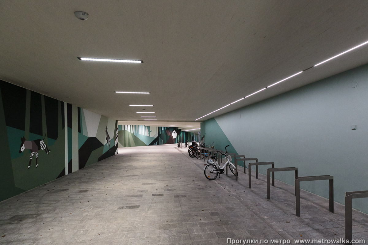 Фотография станции Niittykumpu / Ängskulla [Нии́ттюку́мпу] (Хельсинки). В подземном пространстве у станции имеется велопарковка.