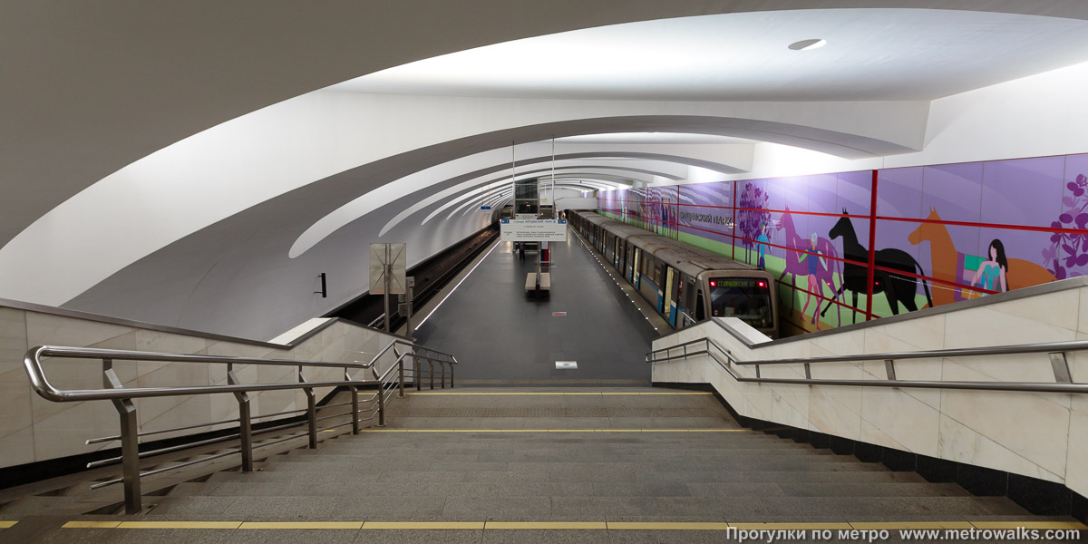 Фотография станции Битцевский парк (Бутовская линия, Москва). Спуск на станцию по лестнице.