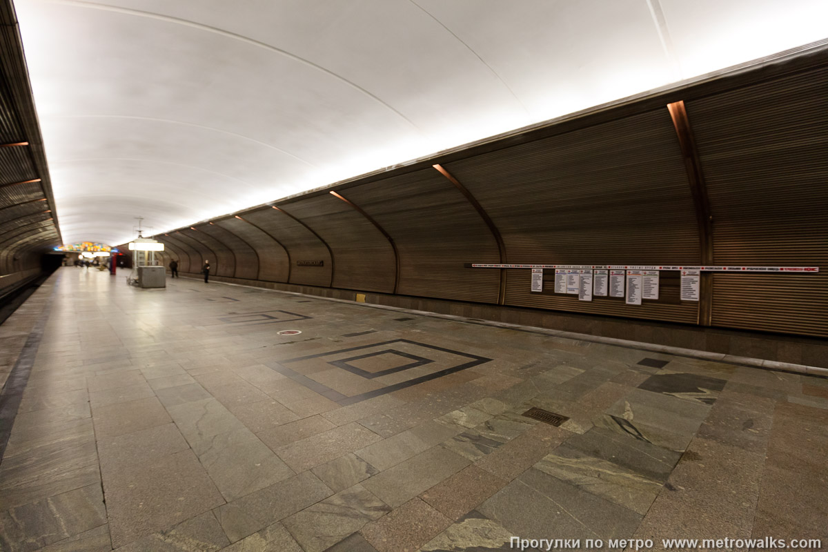 Фотография станции Черкизовская (Сокольническая линия, Москва). Вид по диагонали. Фотография станции Черкизовская (Сокольническая линия, Москва). Вид по диагонали.