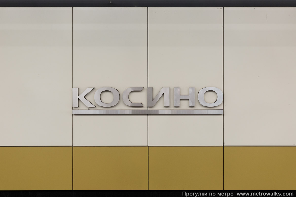 Фотография станции Косино (Некрасовская линия, Москва). Название станции на путевой стене крупным планом.