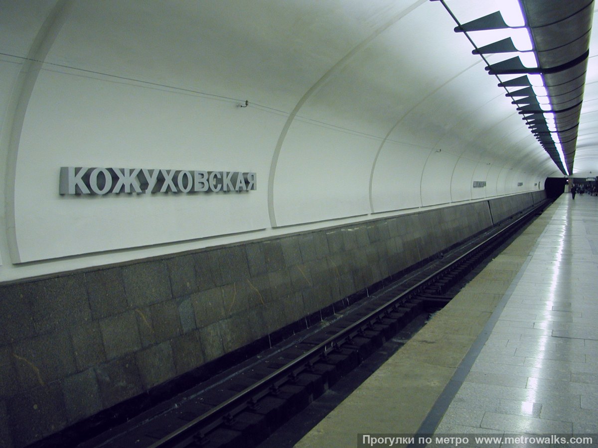 Фотография станции Кожуховская (Люблинско-Дмитровская линия, Москва). Край платформы, общий вид.