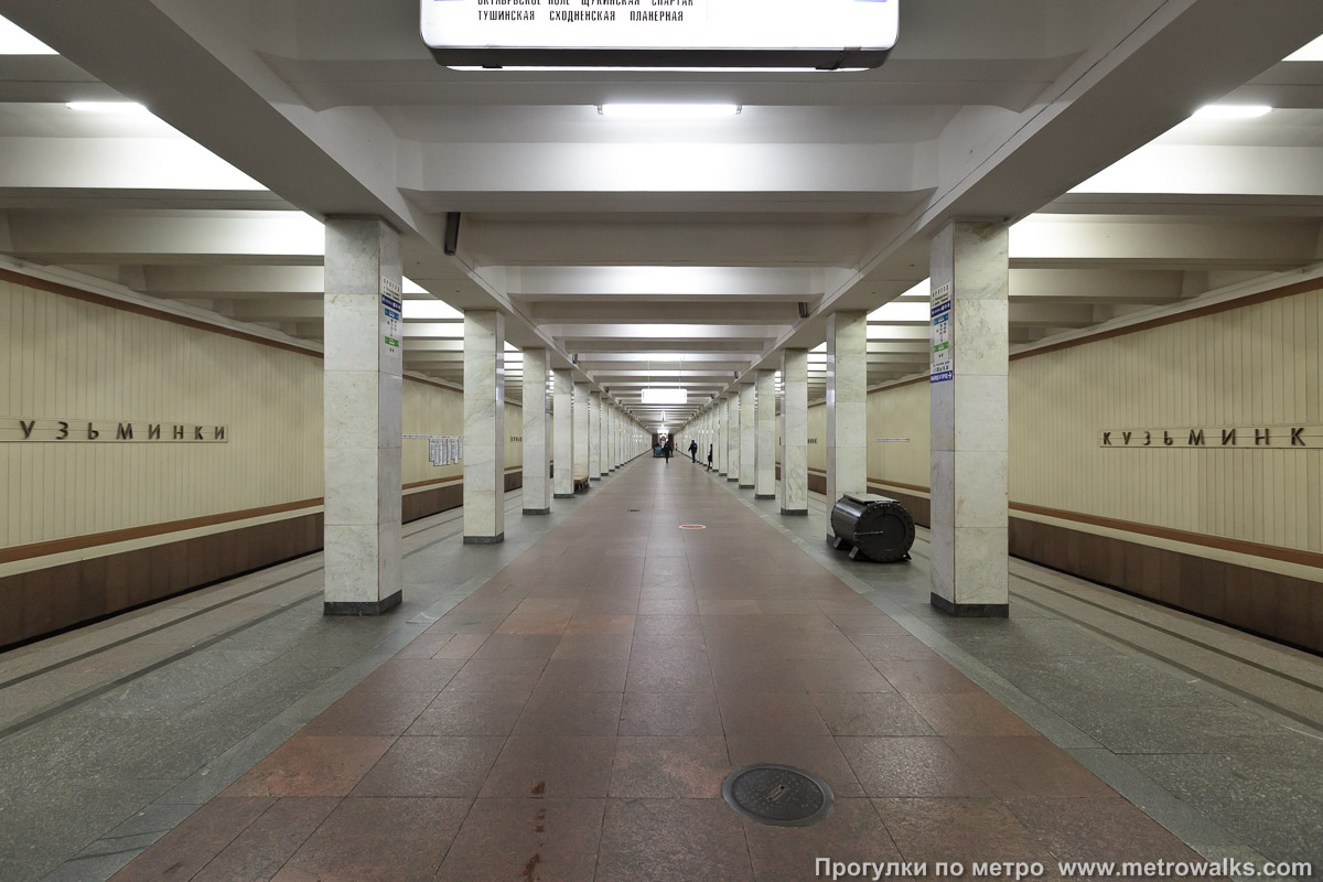 Фотография станции Кузьминки (Таганско-Краснопресненская линия, Москва). Продольный вид центрального зала.