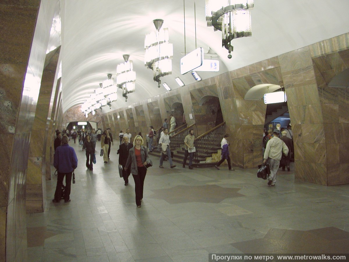 Фотография станции Марксистская (Калининская линия, Москва). Вид по диагонали.