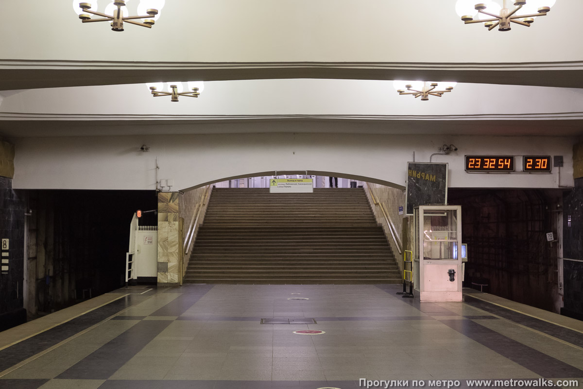 Фотография станции Марьино (Люблинско-Дмитровская линия, Москва). Выход в город осуществляется по лестнице.