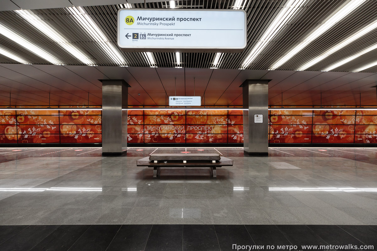 Фотография станции Мичуринский проспект (Солнцевская линия, Москва). Поперечный вид, проходы между колоннами из центрального зала на платформу.