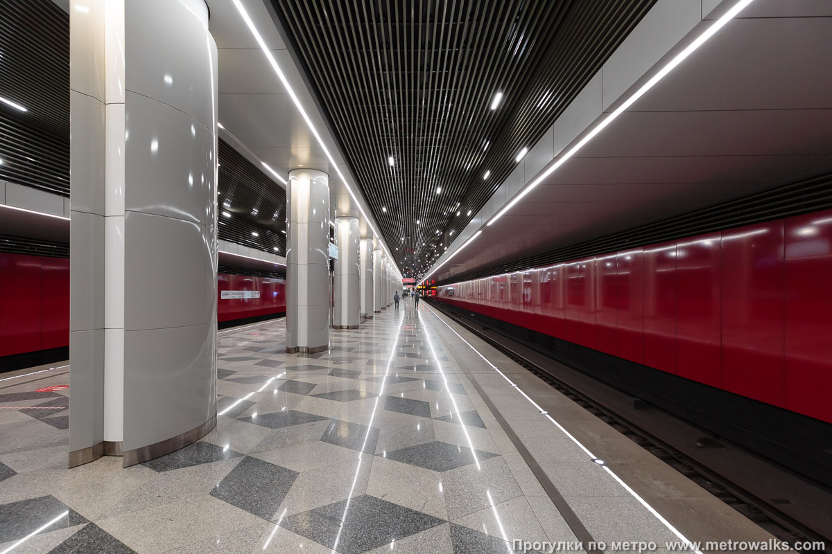 Фотография станции Некрасовка (Некрасовская линия, Москва). Продольный вид вдоль края платформы.