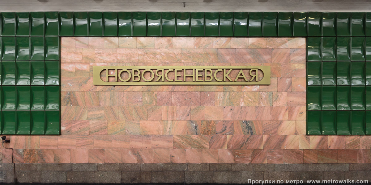 Фотография станции Новоясеневская (Калужско-Рижская линия, Москва). Путевая стена.