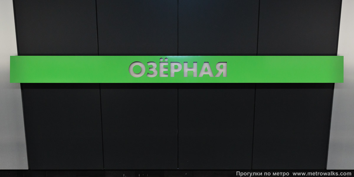 Фотография станции Озёрная (Солнцевская линия, Москва). Название станции на путевой стене крупным планом.