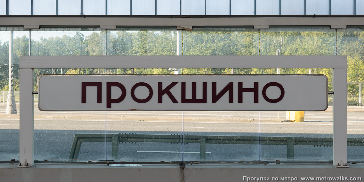 Фотография станции Прокшино (Сокольническая линия, Москва). Название станции на путевой стене крупным планом.