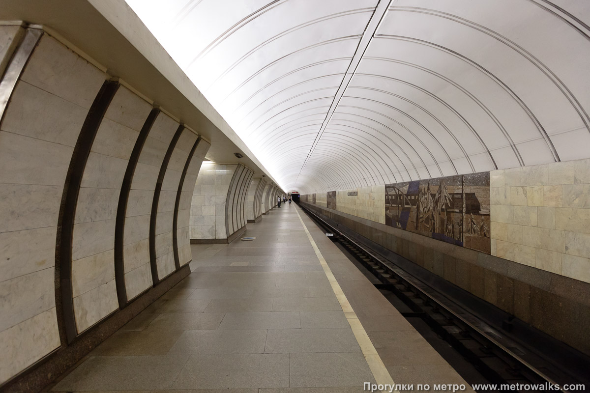 Фотография станции Савёловская (Серпуховско-Тимирязевская линия, Москва). Боковой зал станции и посадочная платформа, общий вид.
