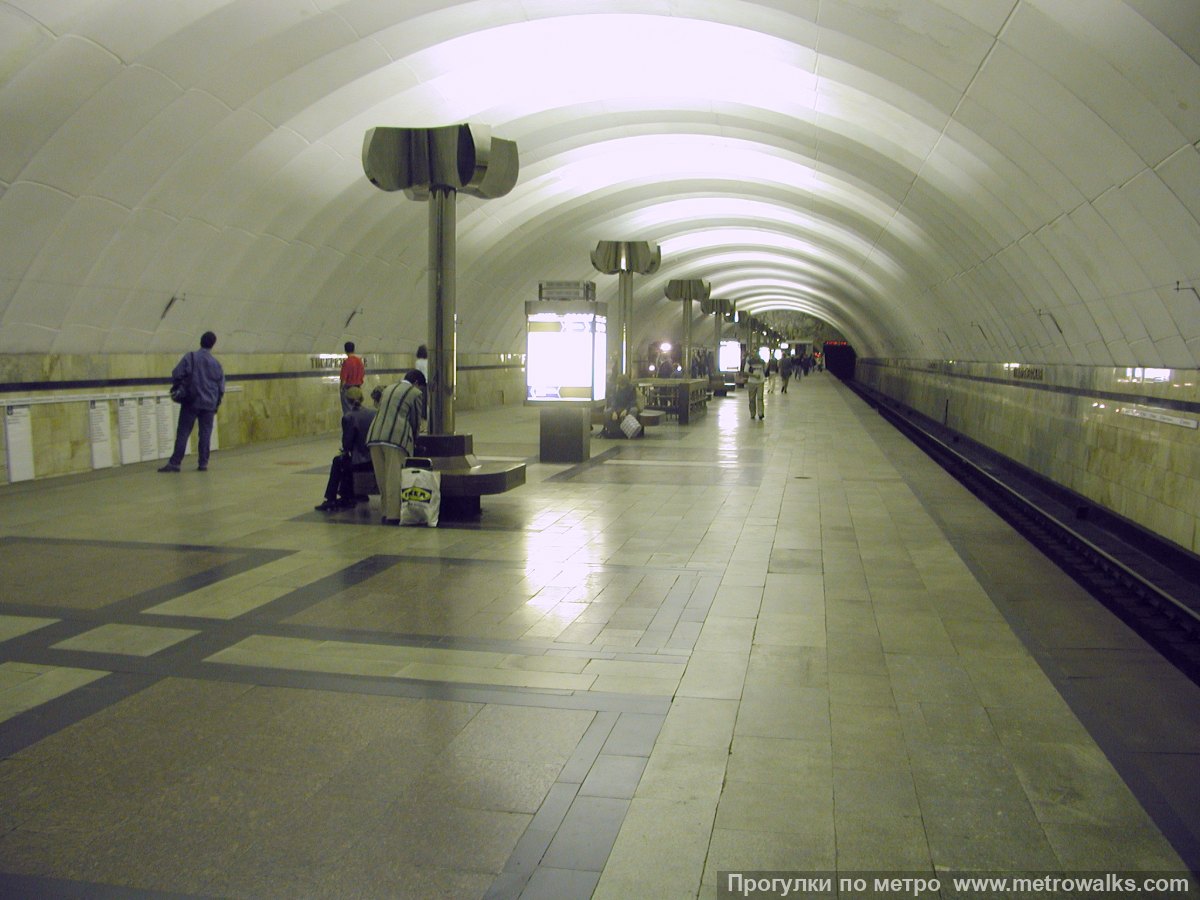 Фотография станции Тимирязевская (Серпуховско-Тимирязевская линия, Москва). Вид по диагонали.