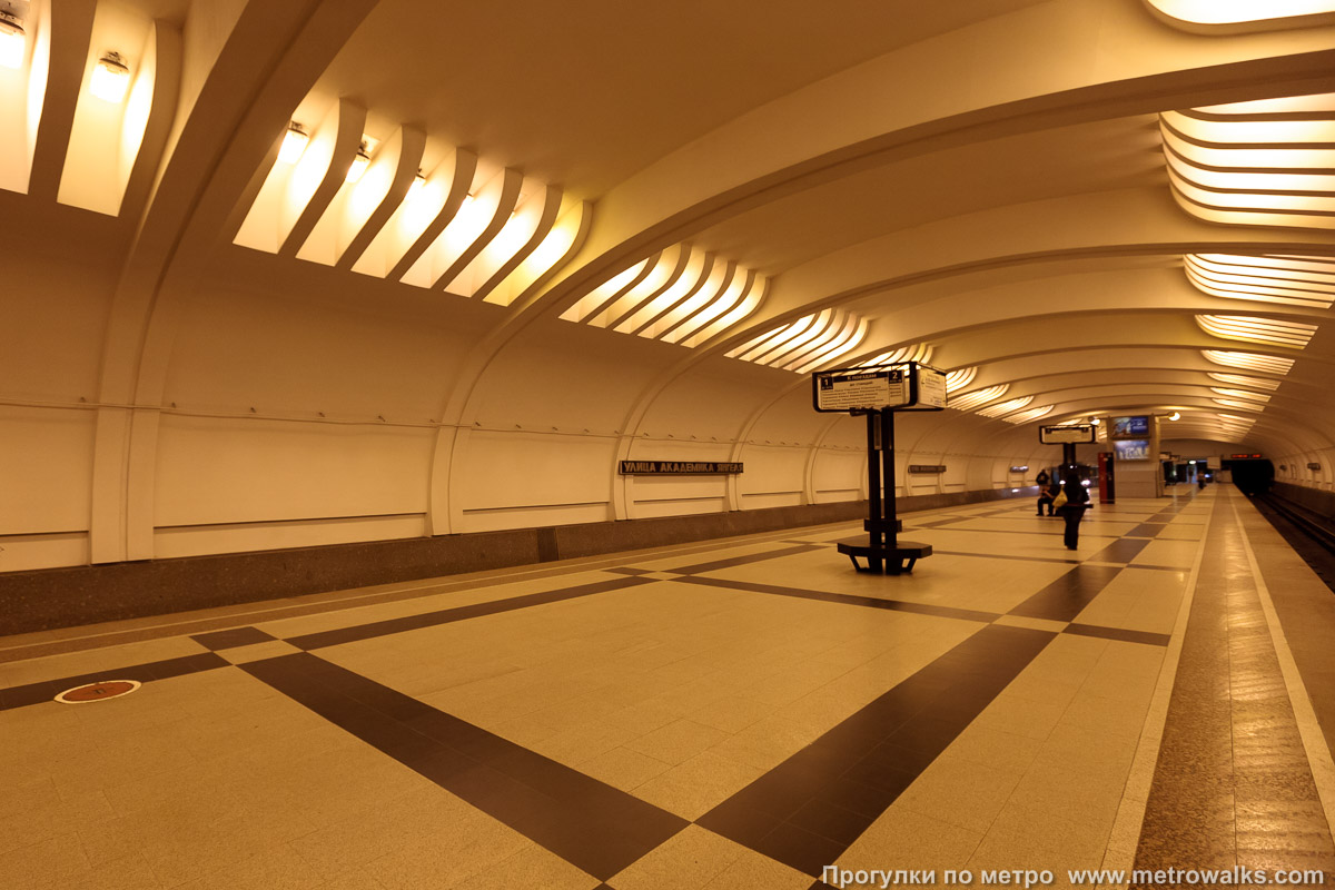 Фотография станции Улица Академика Янгеля (Серпуховско-Тимирязевская линия, Москва). Вид по диагонали.