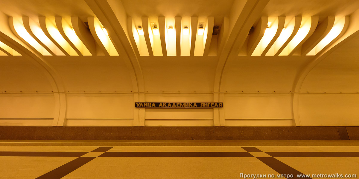 Фотография станции Улица Академика Янгеля (Серпуховско-Тимирязевская линия, Москва). Поперечный вид.