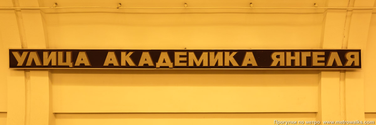 Фотография станции Улица Академика Янгеля (Серпуховско-Тимирязевская линия, Москва). Название станции на путевой стене крупным планом.