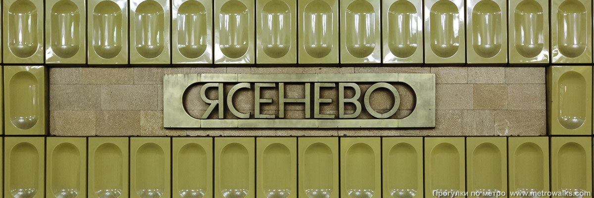 Фотография станции Ясенево (Калужско-Рижская линия, Москва). Название станции на путевой стене крупным планом.