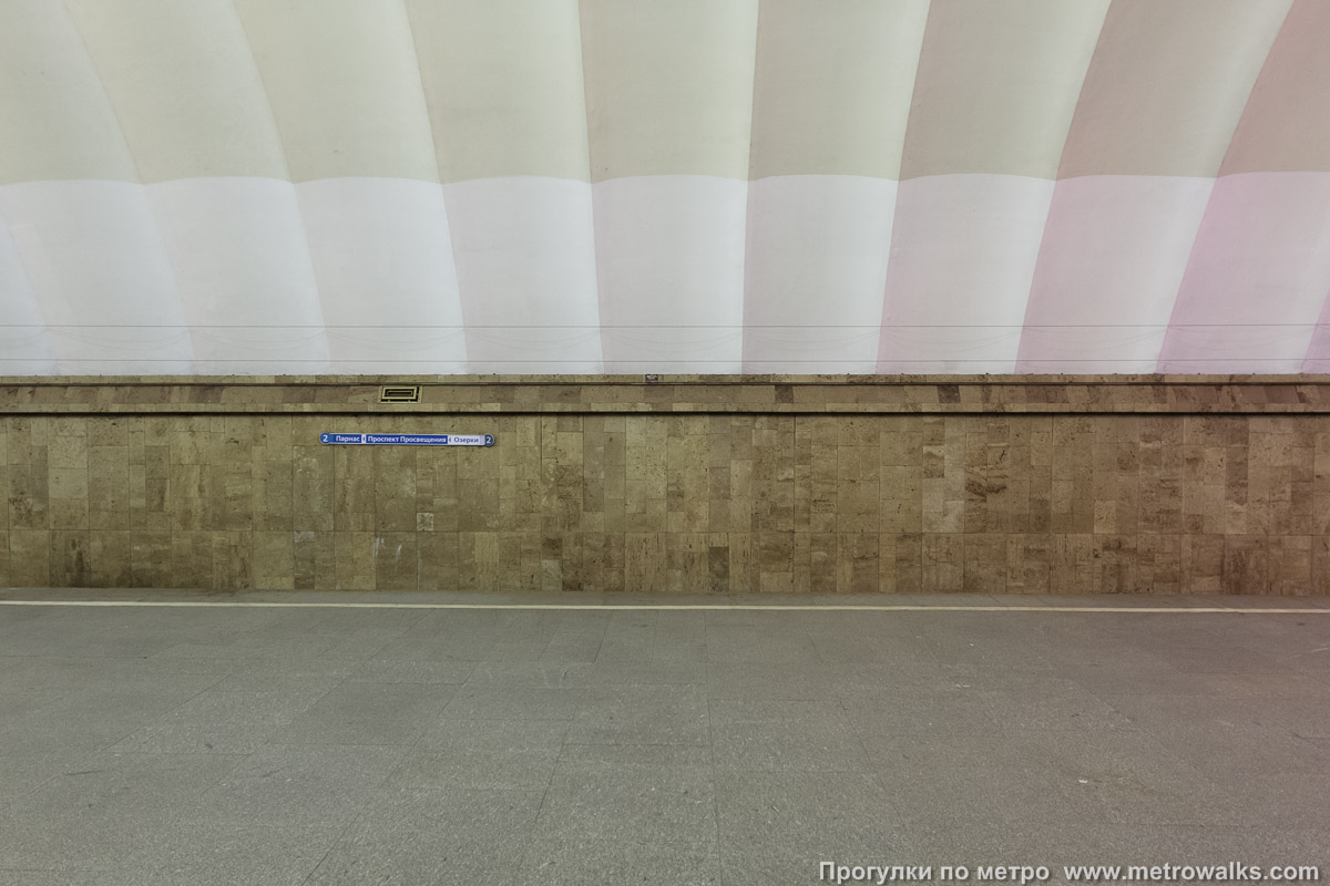 Фотография станции Озерки (Московско-Петроградская линия, Санкт-Петербург). Поперечный вид. Старая фотография, до наклеивания синей полосы на стену.