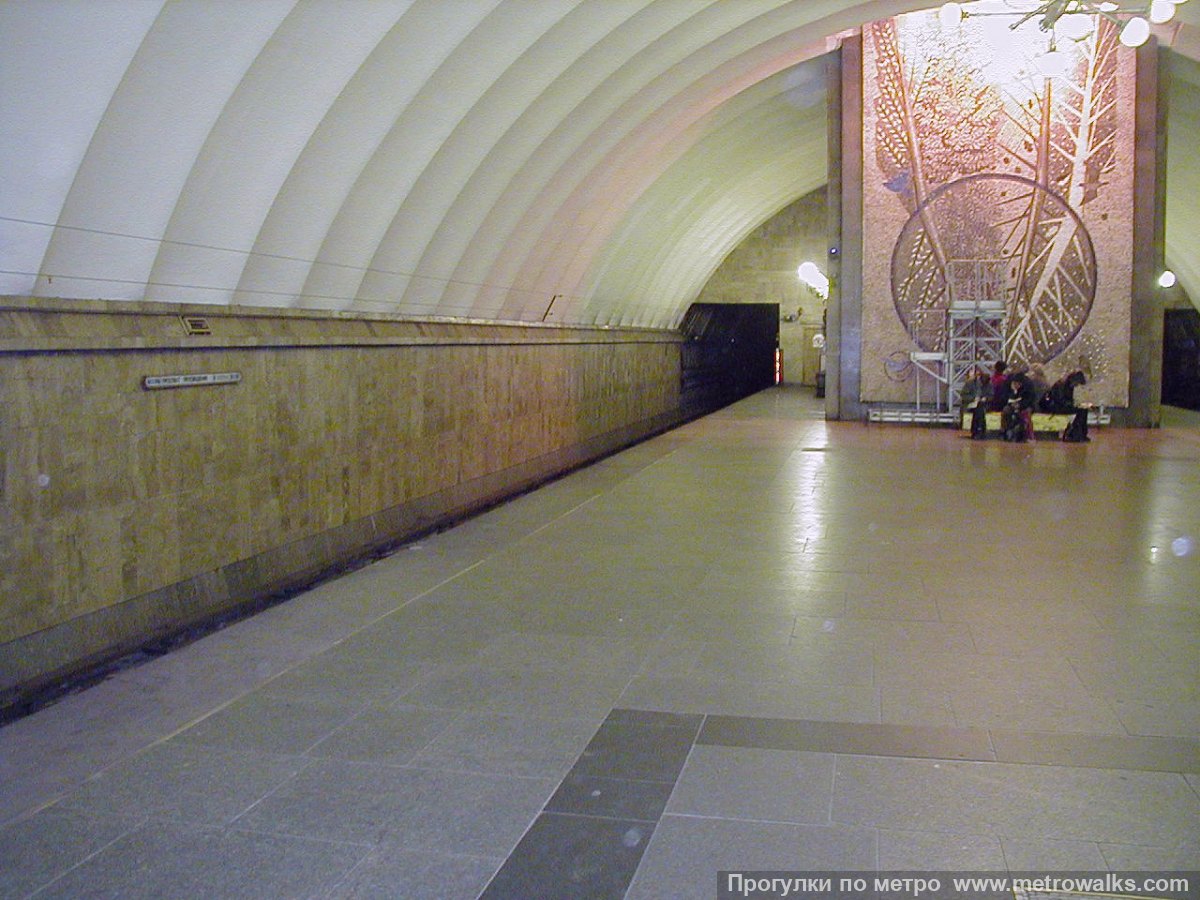 Фотография станции Озерки (Московско-Петроградская линия, Санкт-Петербург). Противоположная от входа часть станции.