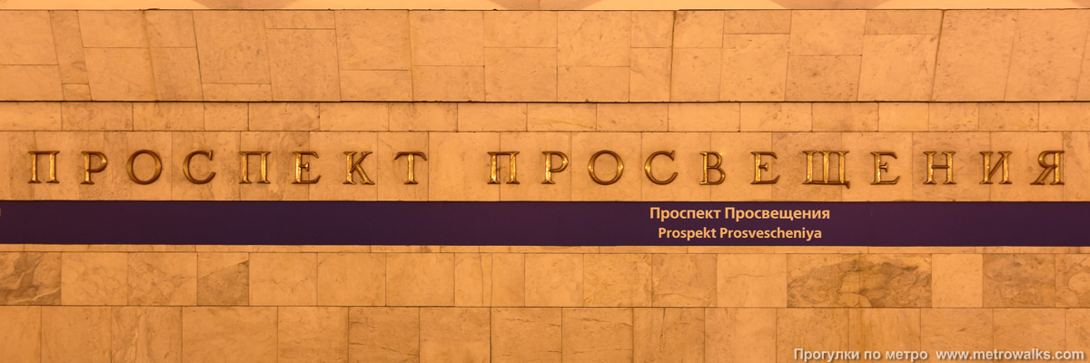 Фотография станции Проспект Просвещения (Московско-Петроградская линия, Санкт-Петербург). Название станции на путевой стене крупным планом.