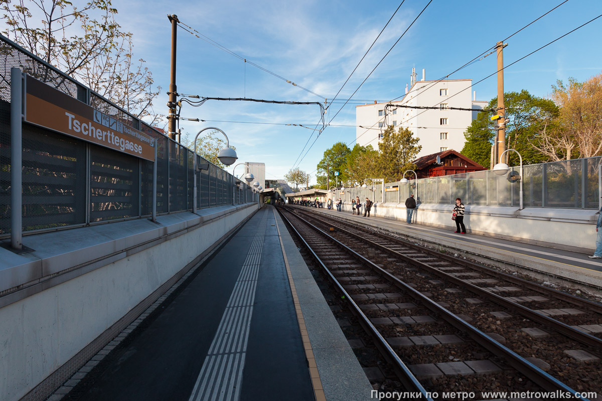 Фотография станции Tscherttegasse [Черттегассе] (U6, Вена). Продольный вид вдоль края платформы.
