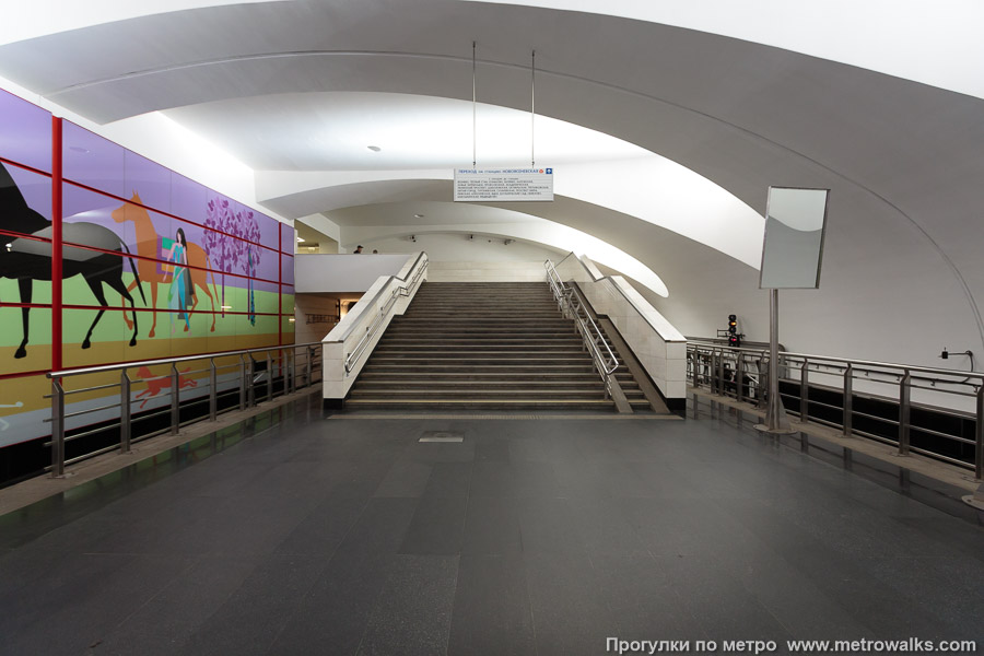 Станция Битцевский парк (Бутовская линия, Москва). В западном торце станции — переход на станцию Новоясеневскую Калужско-Рижской линии.