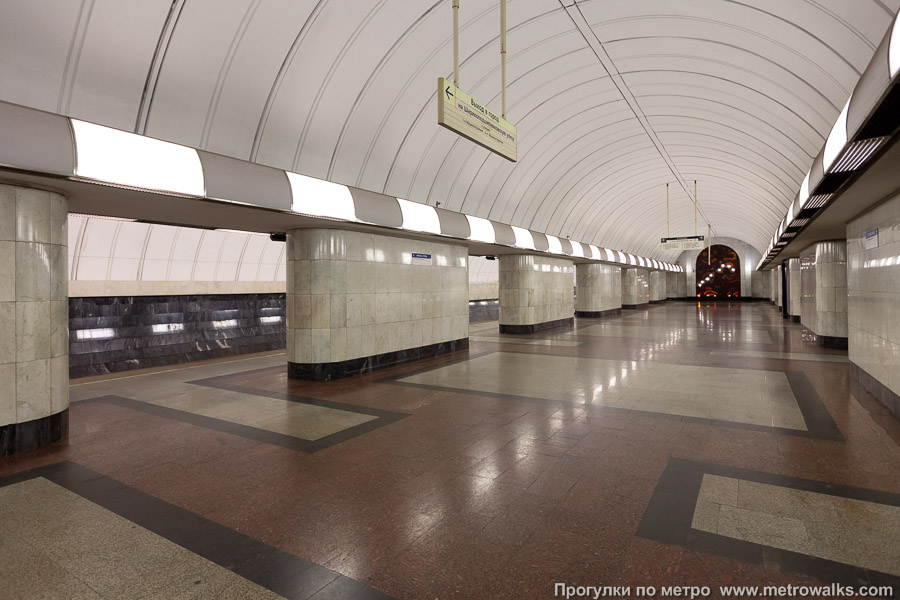 Станция Дубровка (Люблинско-Дмитровская линия, Москва). Вид по диагонали.