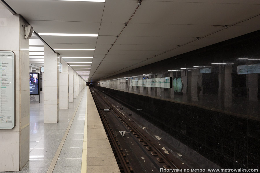Станция Каширская (Большая кольцевая линия, Москва). Боковой зал станции и посадочная платформа, общий вид. Над путём Большой кольцевой линии при реконструкции станции был существенно занижен потолок.