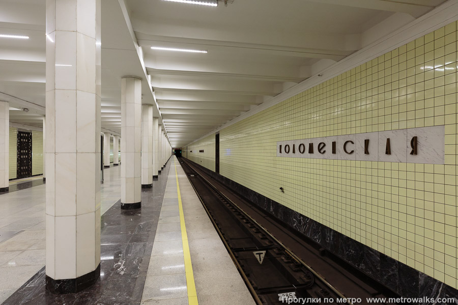 Станция Коломенская (Замоскворецкая линия, Москва). Боковой зал станции и посадочная платформа, общий вид.