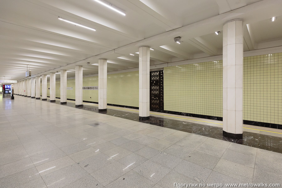 Станция Коломенская (Замоскворецкая линия, Москва). Вид по диагонали.